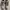 Nike Y2K Skater Sneakers Pria brown gray photo 3