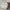 Streetwear Track jacket Pria cream photo 5