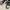 Nike Air Jordan Sportswear Casual Sneakers Kids Gray