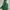 Bang Bang Jeans Y2K Luxury Puffer jacket Pria green photo 2