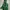 Bang Bang Jeans Y2K Luxury Puffer Jacket Pria Green