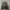 Stone Island Streetwear Casual Bomber jacket Pria black photo 1