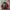 Nike Streetwear Casual Windbreaker Pria red black photo 1