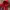 Tommy Hilfiger Casual Hoody Pria Red