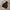 Frank Stone Casual Hoody Pria black photo 1