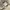 Japanese brand Y2K Grunge Sweatshirt Wanita cream photo 6