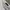 Japanese brand Y2K Grunge Sweatshirt Wanita cream photo 3