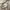 Japanese brand Y2K Grunge Sweatshirt Wanita cream photo 8