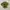 Vintage Pakaian adat Blouse Wanita green photo 1