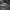 Adidas Y2K Sportswear Bag Pria gray photo 4