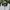 Adidas Y2K Sportswear Windbreaker Pria silver gray photo 7