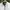 Adidas Y2K Sportswear Windbreaker Pria silver gray photo 6