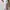 Lolita Minimalist Skirt Wanita pink photo 4