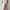 Lolita Minimalist Skirt Wanita pink photo 5