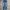 EDWIN Streetwear Jeans Pria multicolor photo 2