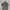 Polo Ralph Lauren Casual Polo Shirt Pria Gray