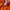 Anti Social Social Club Vintage Casual Hoody Pria orange photo 6