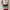 Cosplay Futurist Mini skirt Wanita multicolor photo 3