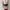 Cosplay Futurist Mini skirt Wanita multicolor photo 2