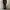 Uniqlo Streetwear Jeans Pria black photo 7