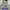 Polo Ralph Lauren Y2K Hoody Pria gray photo 4