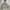 Polo Ralph Lauren Y2K Hoody Pria gray photo 1