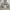 Polo Ralph Lauren Y2K Hoody Pria gray photo 2
