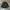 Streetwear Casual Parka Pria multicolor photo 1