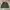 Uniqlo Streetwear Casual Puffer jacket Pria green photo 2