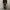 Levi's Streetwear Jeans Pria gray photo 8