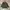 Streetwear Casual Parka Pria brown photo 1