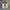 Nike Sportswear Casual Sneakers Pria white gray photo 4