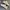 Nike Sportswear Casual Sneakers Pria white gray photo 3
