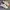 Nike Sportswear Casual Sneakers Pria white gray photo 2