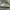Nike Streetwear Casual Sneakers Pria white cream photo 5