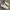 Nike Streetwear Casual Sneakers Pria white cream photo 1
