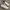 Nike Streetwear Casual Sneakers Pria White Cream