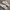 Reebok Streetwear Casual Sneakers Pria white gray photo 3
