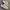Reebok Streetwear Casual Sneakers Pria white gray photo 2