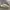 Reebok Streetwear Casual Sneakers Pria white gray photo 5