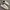 Reebok Streetwear Casual Sneakers Pria White Gray
