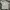 Supreme Streetwear Casual T-shirt Pria Gray