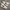 Nike Streetwear Casual Sneakers Pria white black photo 2