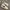 Nike Streetwear Casual Sneakers Pria White Black