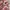 Vintage Y2K Bodysuit Wanita pink photo 6