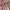 Vintage Y2K Bodysuit Wanita pink photo 5