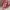 Vintage Y2K Bodysuit Wanita pink photo 4