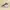 Adidas Streetwear Sportswear Sneakers Kids multicolor photo 1
