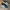 Nike Streetwear Casual Sneakers Pria white blue photo 2