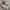 New Balance Streetwear Casual Sneakers Pria gray photo 1